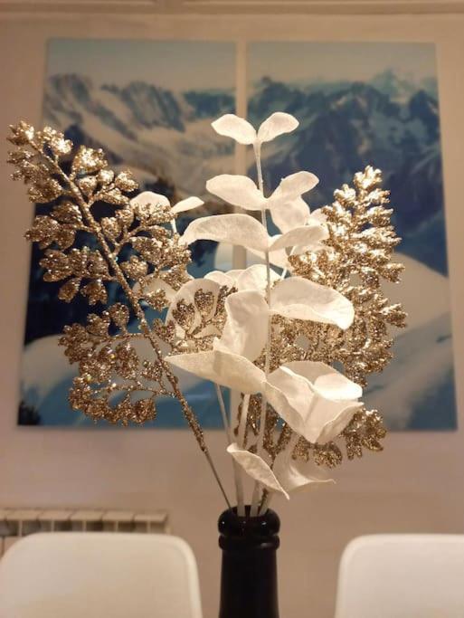 Bel Appartement Familial Et Cosy سا جيرفي لي با المظهر الخارجي الصورة